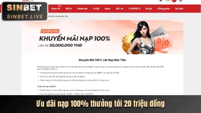 Tiền hoàn trả với cọc tiền, thể hiện hoàn tiền bay365